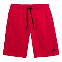 4F  шорты мужские Sportstyle