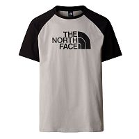 The North Face  футболка мужская Raglan Easy