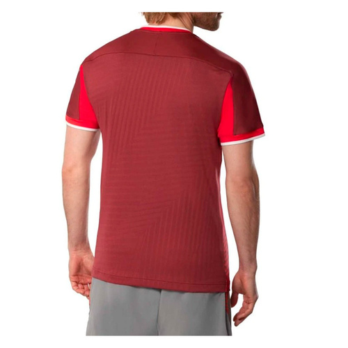Mizuno  футболка теннисная мужская Graphic фото 4