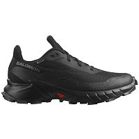 Salomon  кроссовки мужские Alphacross 5 gtx