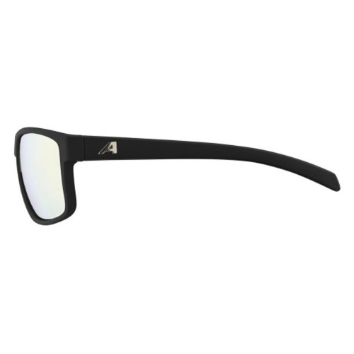 Alpina  очки солнцезащитные Nax фото 3