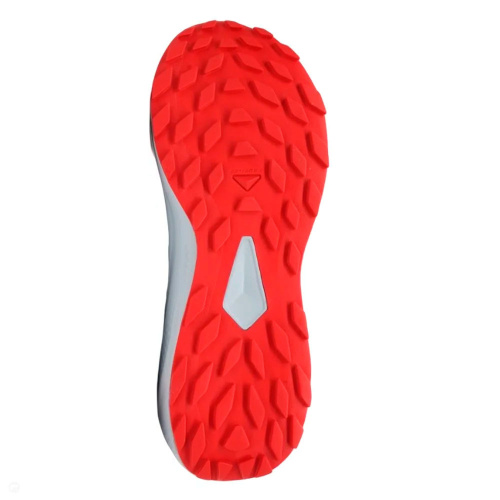 Salomon  кроссовки мужские Alphaglide фото 5