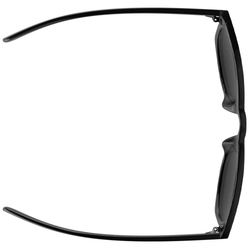 Alpina  очки солнцезащитные Sunbeam фото 4