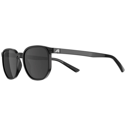 Alpina  очки солнцезащитные Dimont фото 2