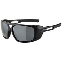 Alpina  очки солнцезащитные Skywalsh Cat. 4