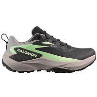 Salomon  кроссовки женские Genesis GTX