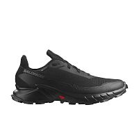 Salomon  кроссовки мужские Alphacross 5 gtx
