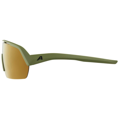 Alpina  очки солнцезащитные Turbo Hr фото 2