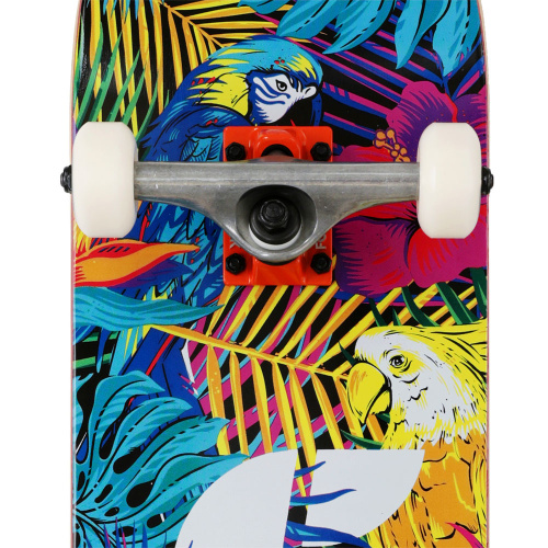 Footwork  круизер  Tropical фото 3