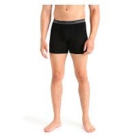 Icebreaker  шорты мужские Anatomica