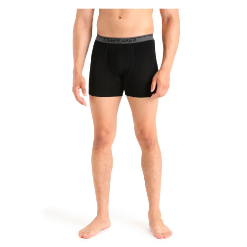 Icebreaker шорты мужские Anatomica Icebreaker шорты мужские Anatomica