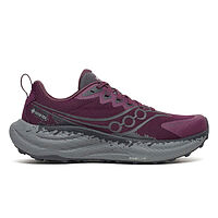 Saucony  кроссовки женские Ride Tr3 Gtx