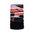 Buff  снуд Polar (one size, batie multi)
