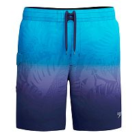 Speedo  шорты пляжные мужские The lookout