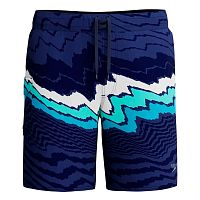 Speedo  шорты пляжные мужские Prnt the lookout