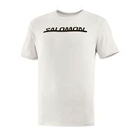 Salomon  футболка мужская Essential logo