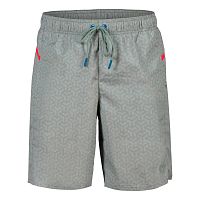 Arena  шорты мужские пляжные Pro_File