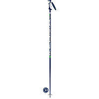 Dynastar  палки горнолыжные Speedzone Carbon 20