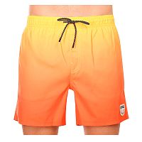 Rip Curl  шорты пляжные мужские Alcion