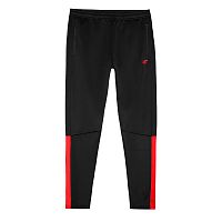 4F  брюки мужские Training