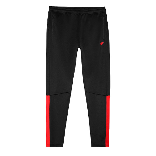 4F  брюки мужские Training