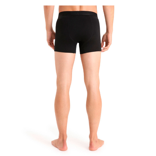 Icebreaker  шорты мужские Anatomica Cool-Lite фото 2