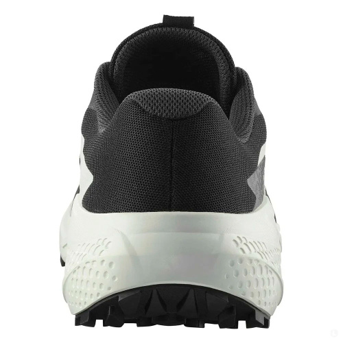 Salomon  кроссовки мужские Alphaglide фото 4