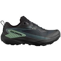 Salomon  кроссовки мужские Genesis GTX