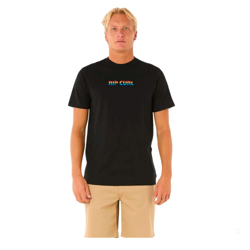 Rip Curl  футболка мужская Big mumma