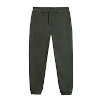 4F  брюки мужские Sportstyle Core Plus