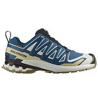 Salomon  кроссовки мужские Xa Pro 3D V9 GTX