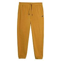 4F  брюки мужские Sportstyle Core Plus