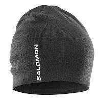 Salomon  шапка Graphic