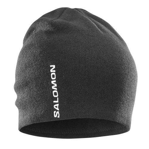 Salomon  шапка Graphic