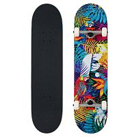 Footwork  круизер  Tropical