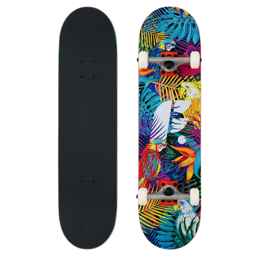 Footwork  круизер  Tropical