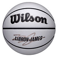 Wilson  мяч баскетбольный NBA Player Icon UV Lebron