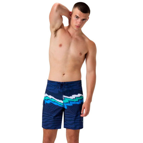 Speedo  шорты пляжные мужские Prnt the lookout фото 3