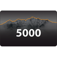 Подарочная карта   5 000