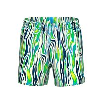 Arena  шорты мужские пляжные Water prints ao