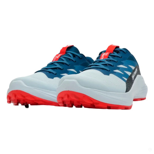 Salomon  кроссовки мужские Alphaglide фото 2