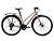 Liv  велосипед Alight 2 City Disc - 2022 (L-20" (700)-17, metal)