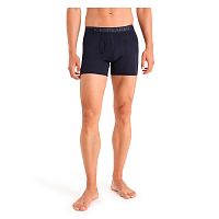 Icebreaker  шорты мужские Anatomica Icebreaker  шорты мужские Anatomica